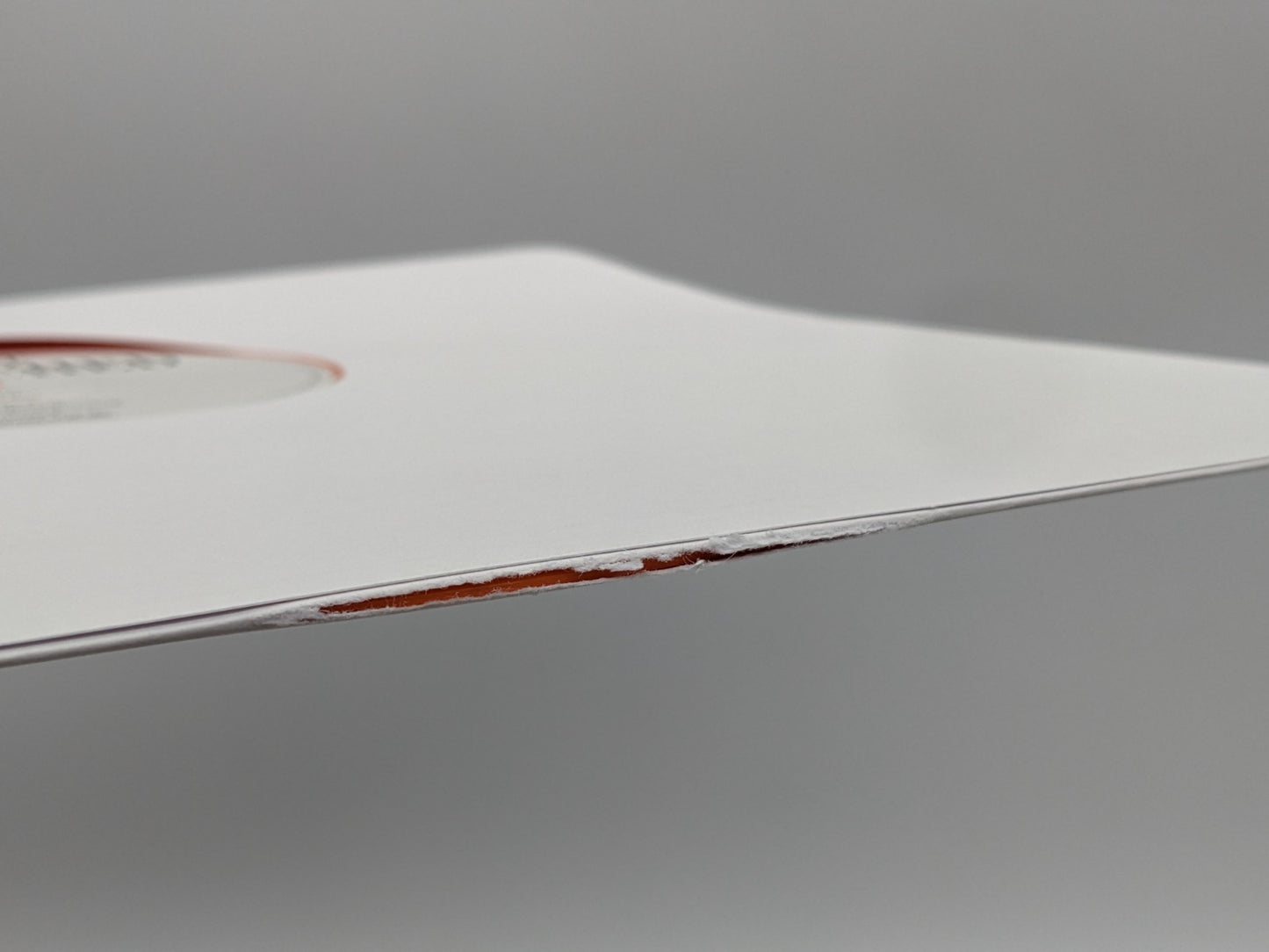 Image #13