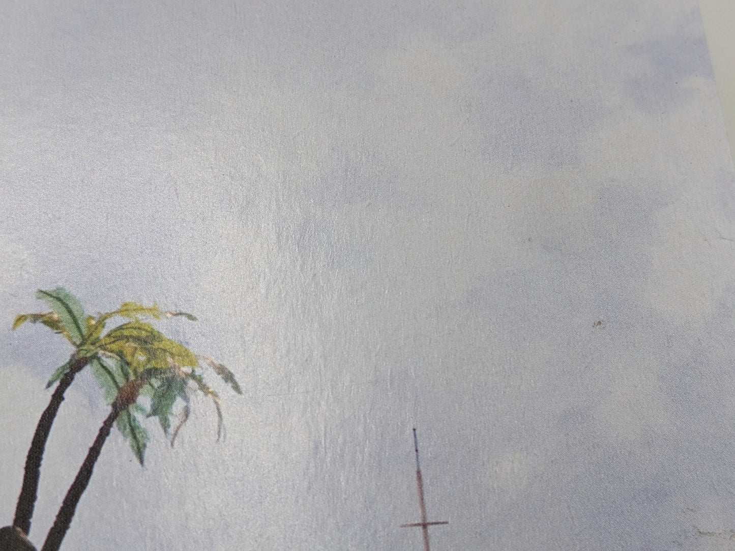 Image #13
