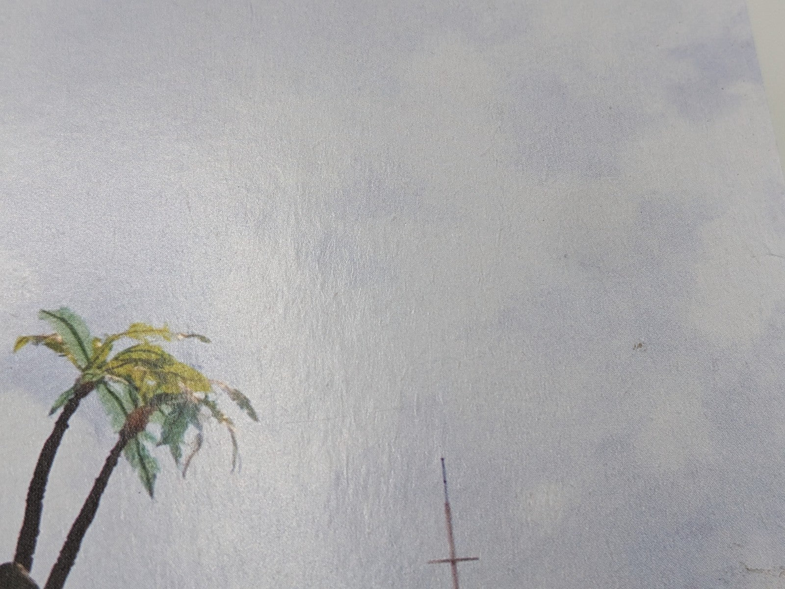 Image #13
