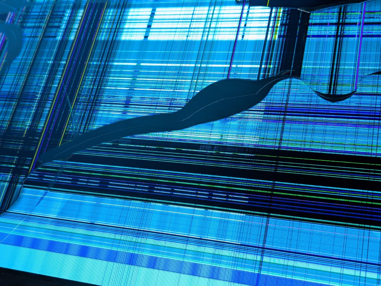 Image #22