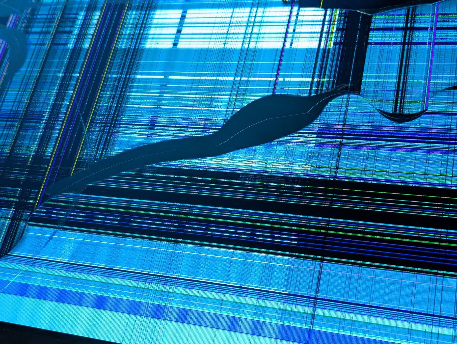 Image #22