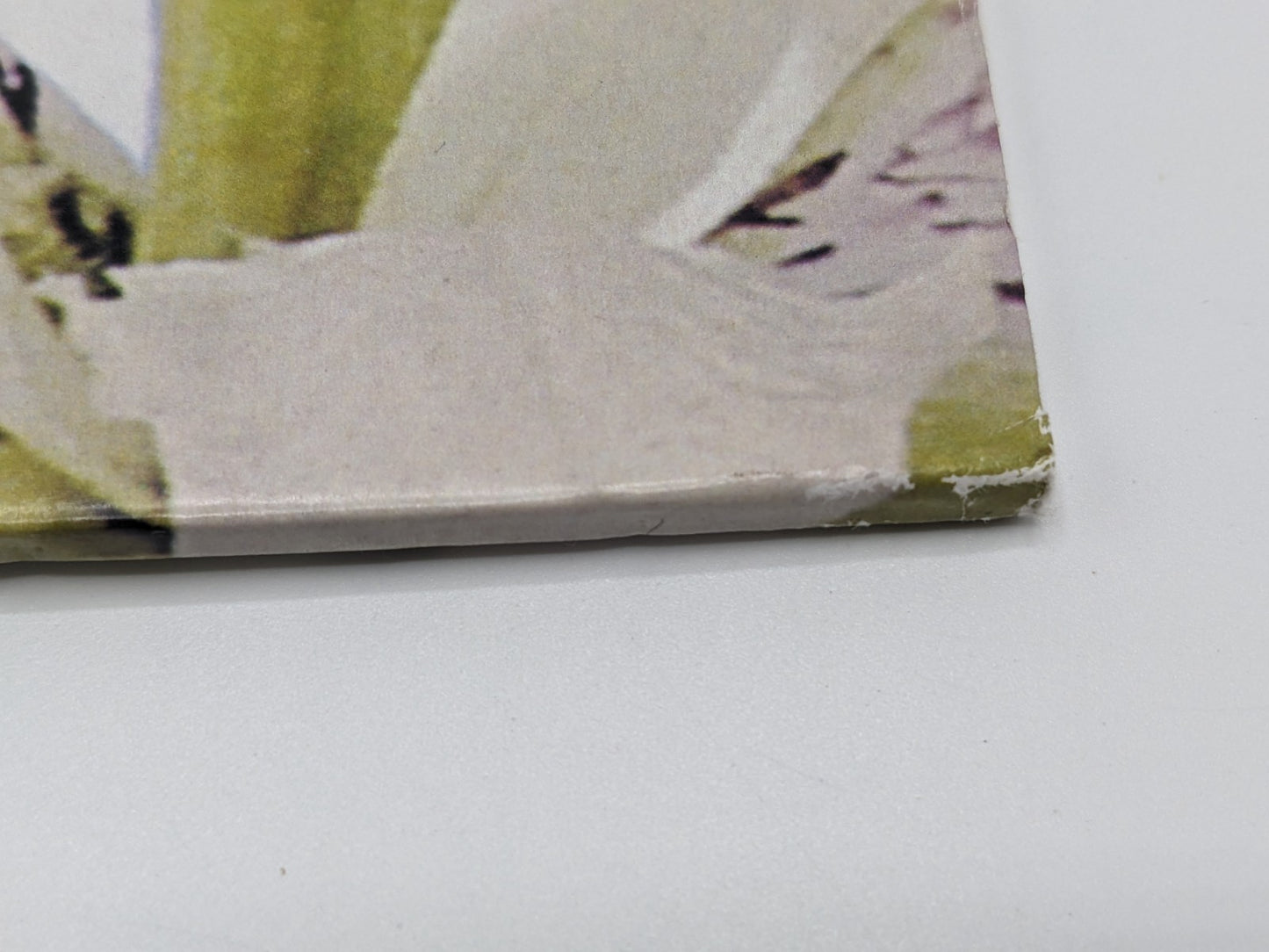 Image #8