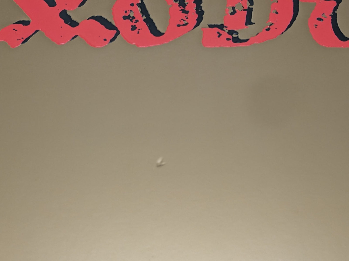 Image #7