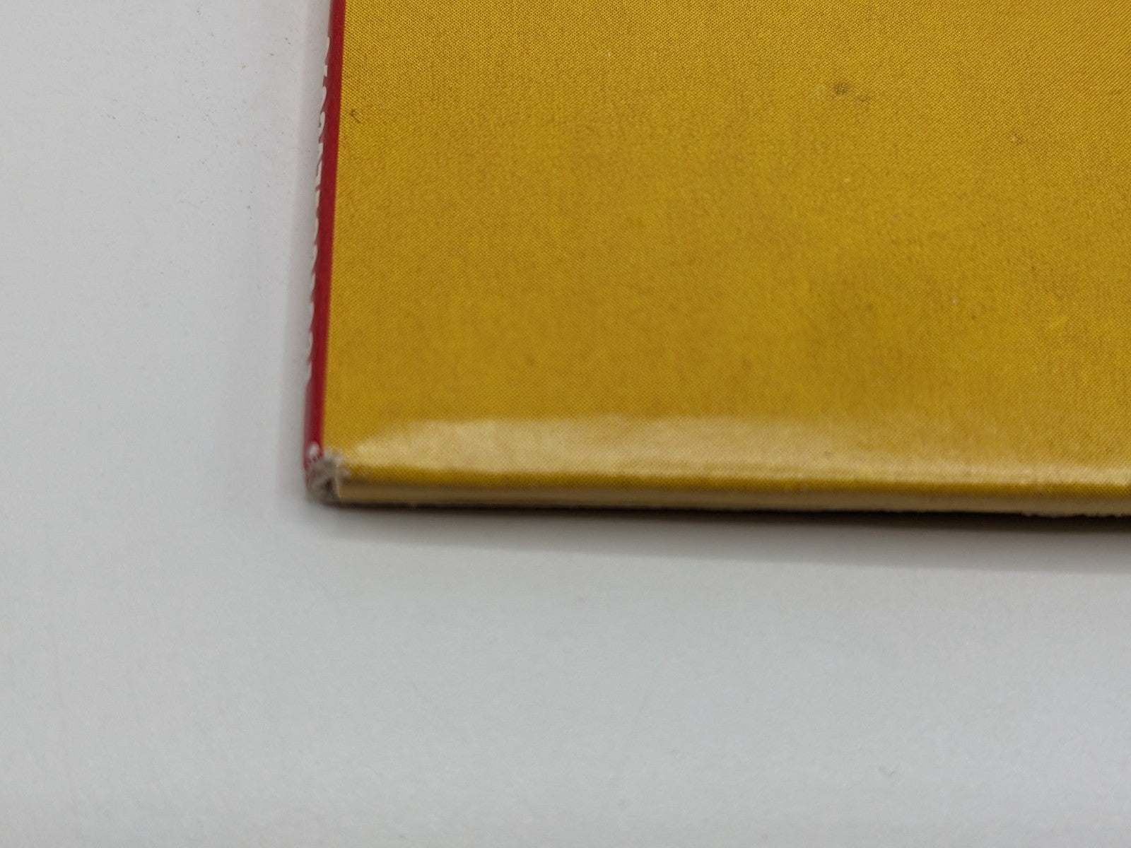 Image #8