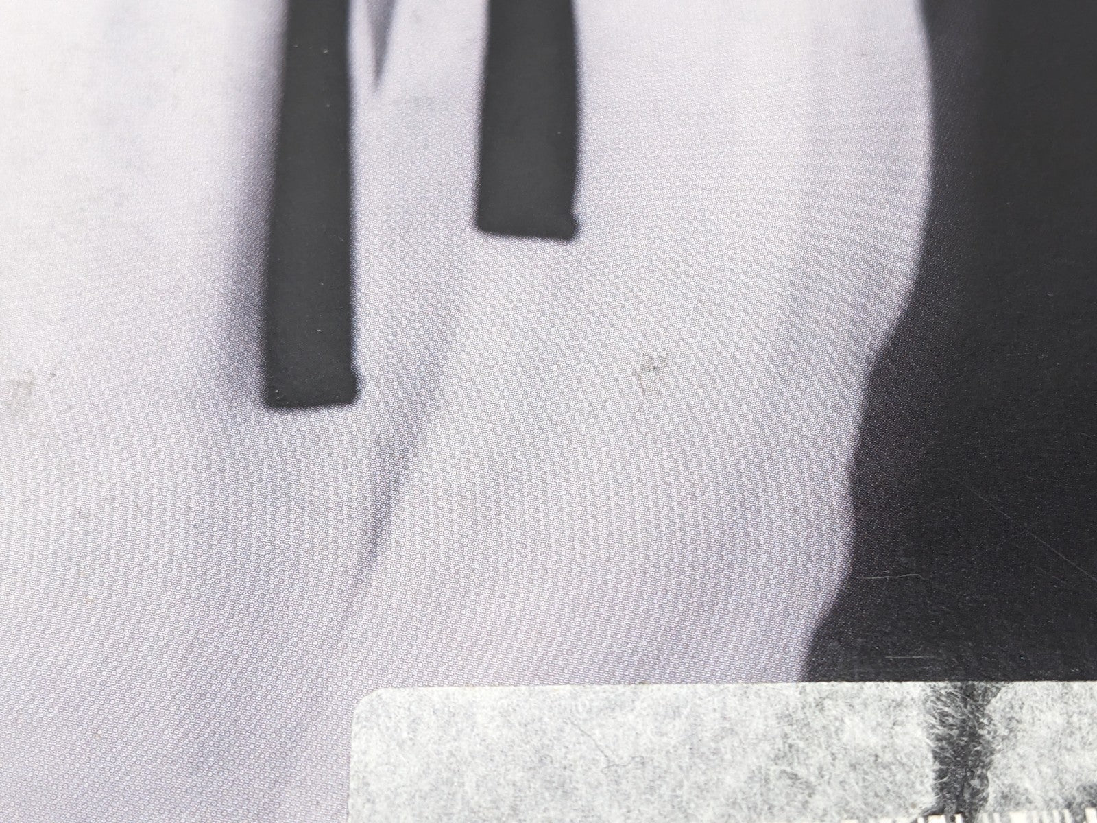 Image #12