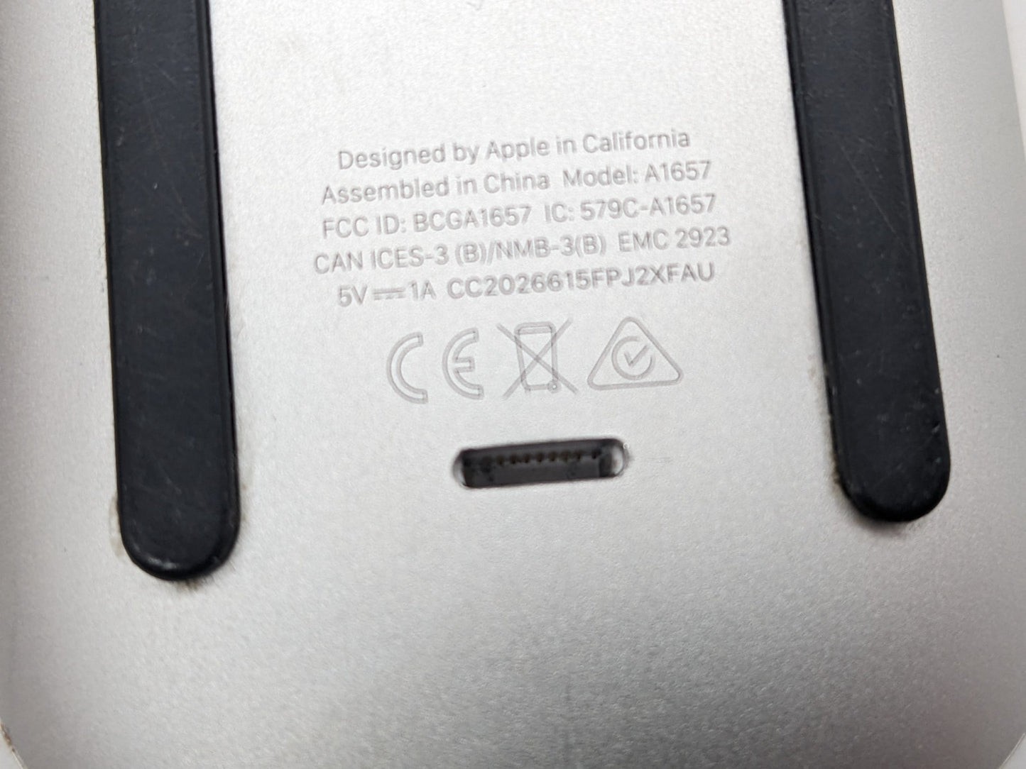 Image #6