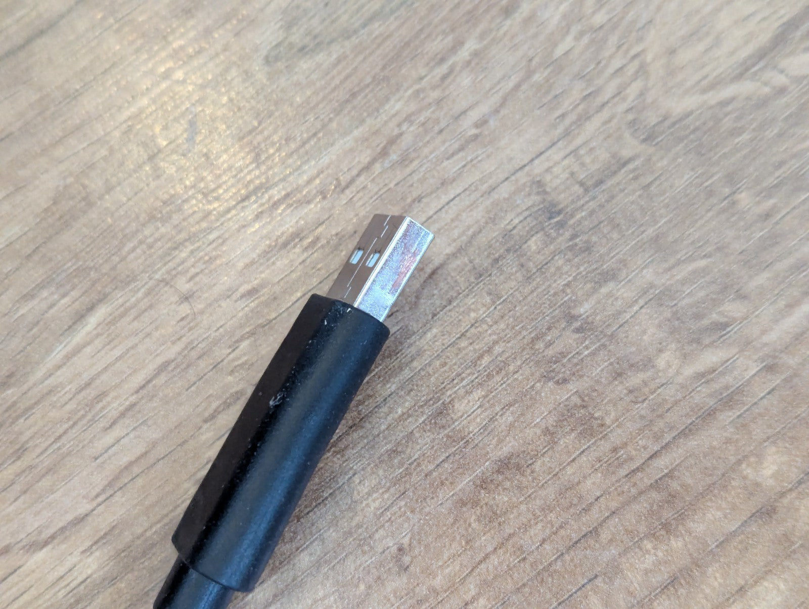 Image #10