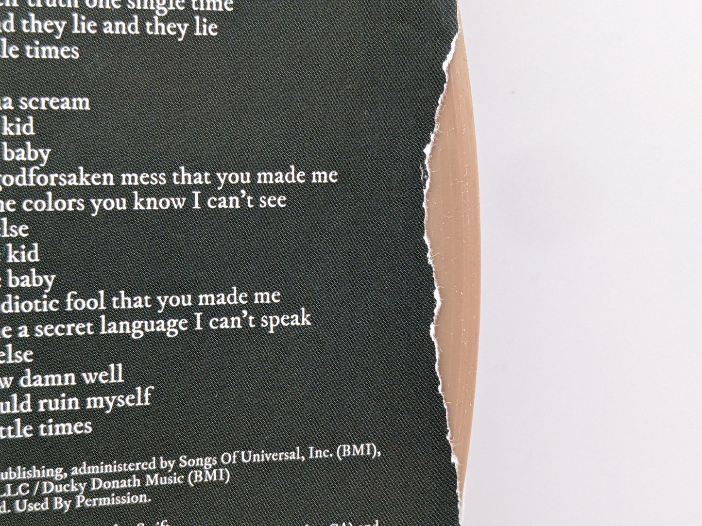 Image #13