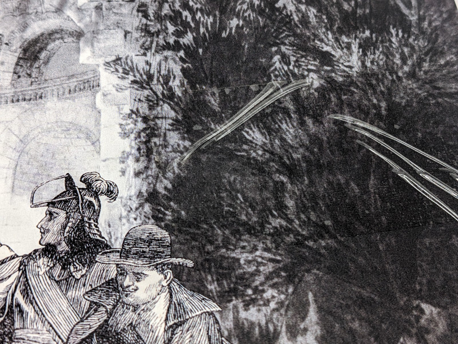 Image #6
