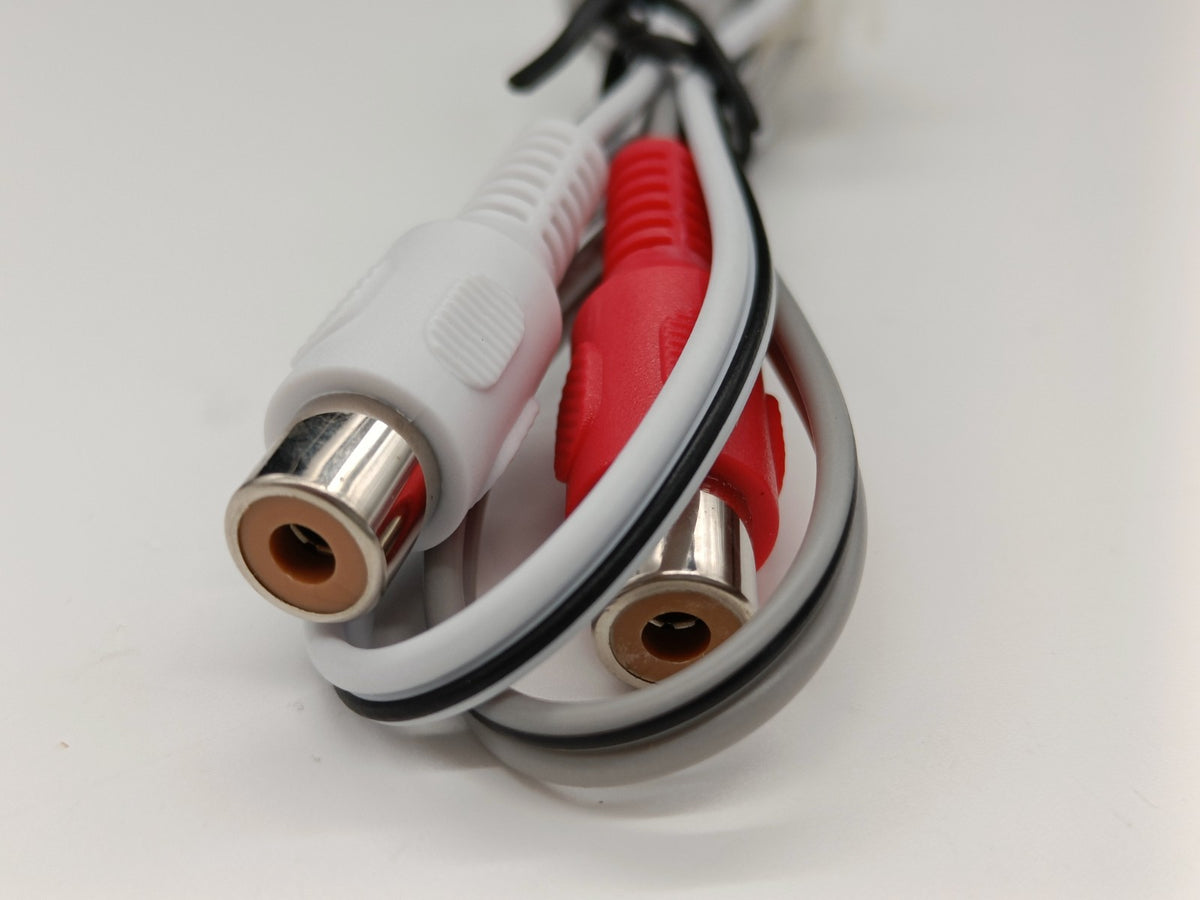 Image #19