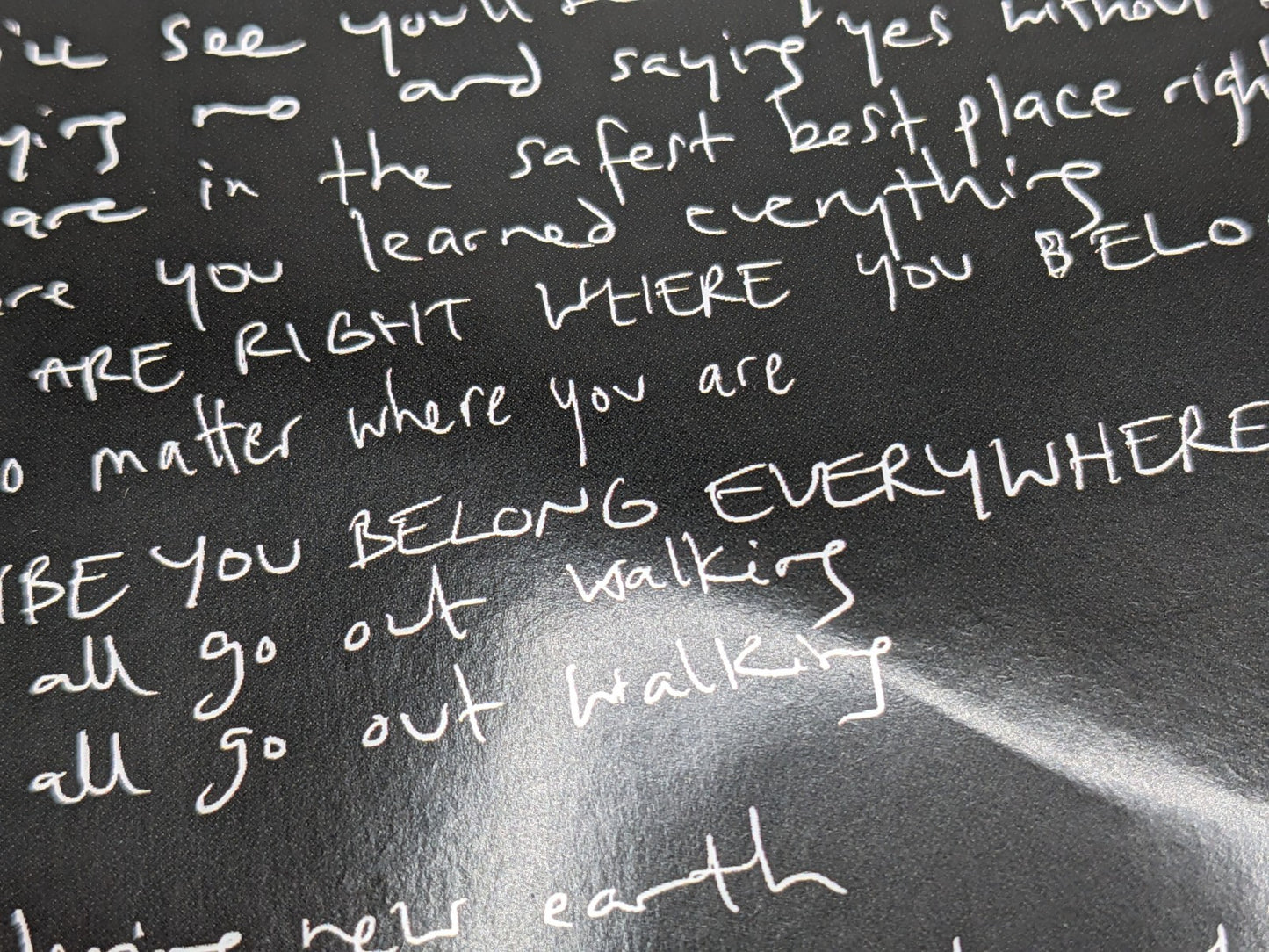 Image #14