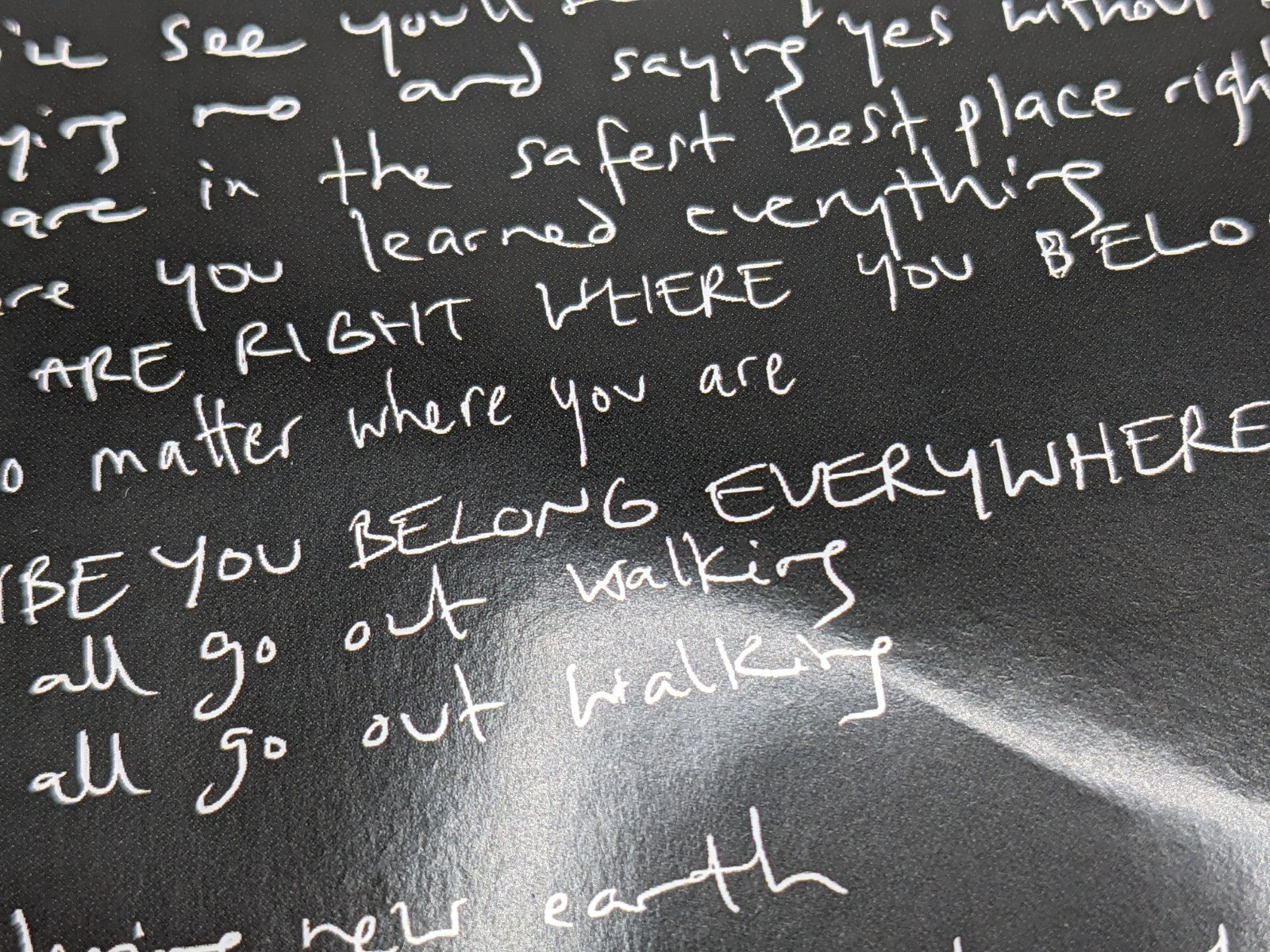 Image #14