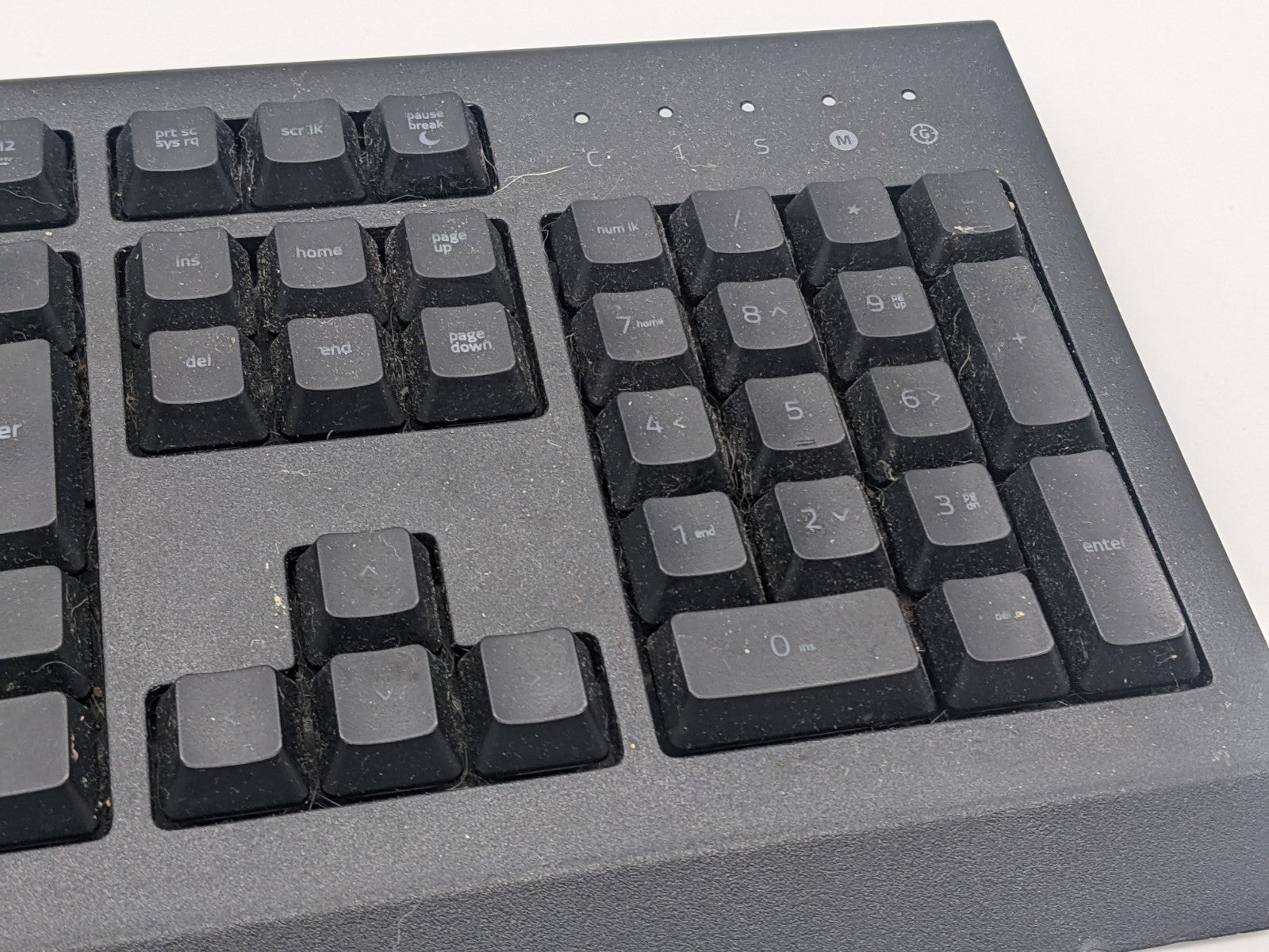 Image #5