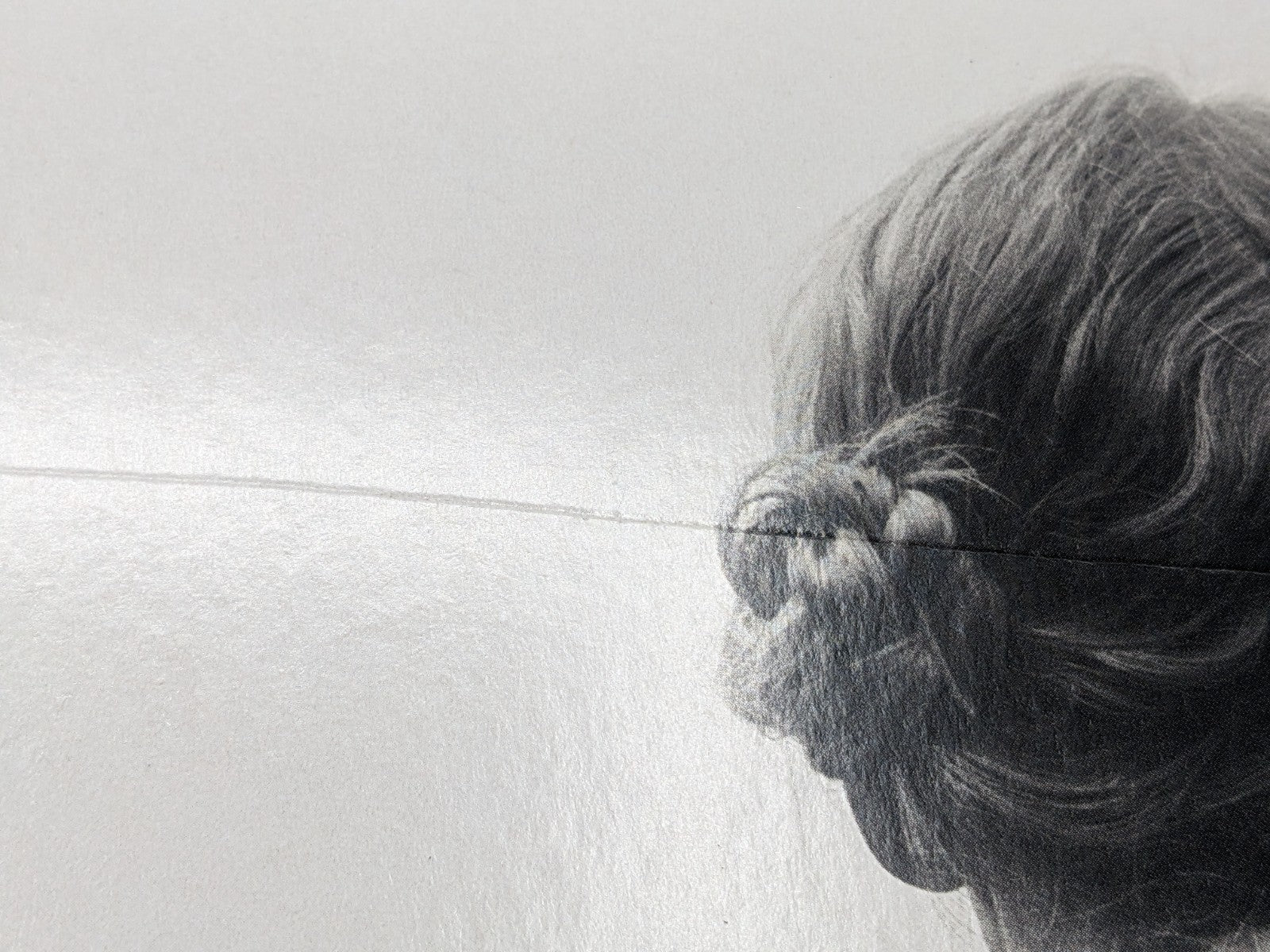 Image #10