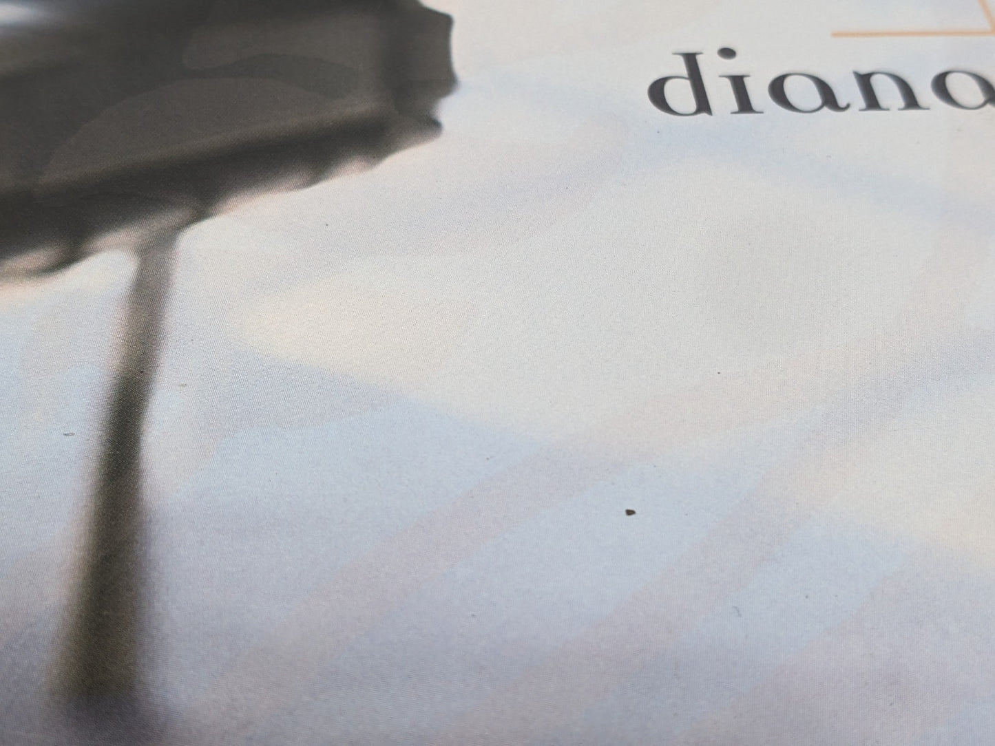 Image #10