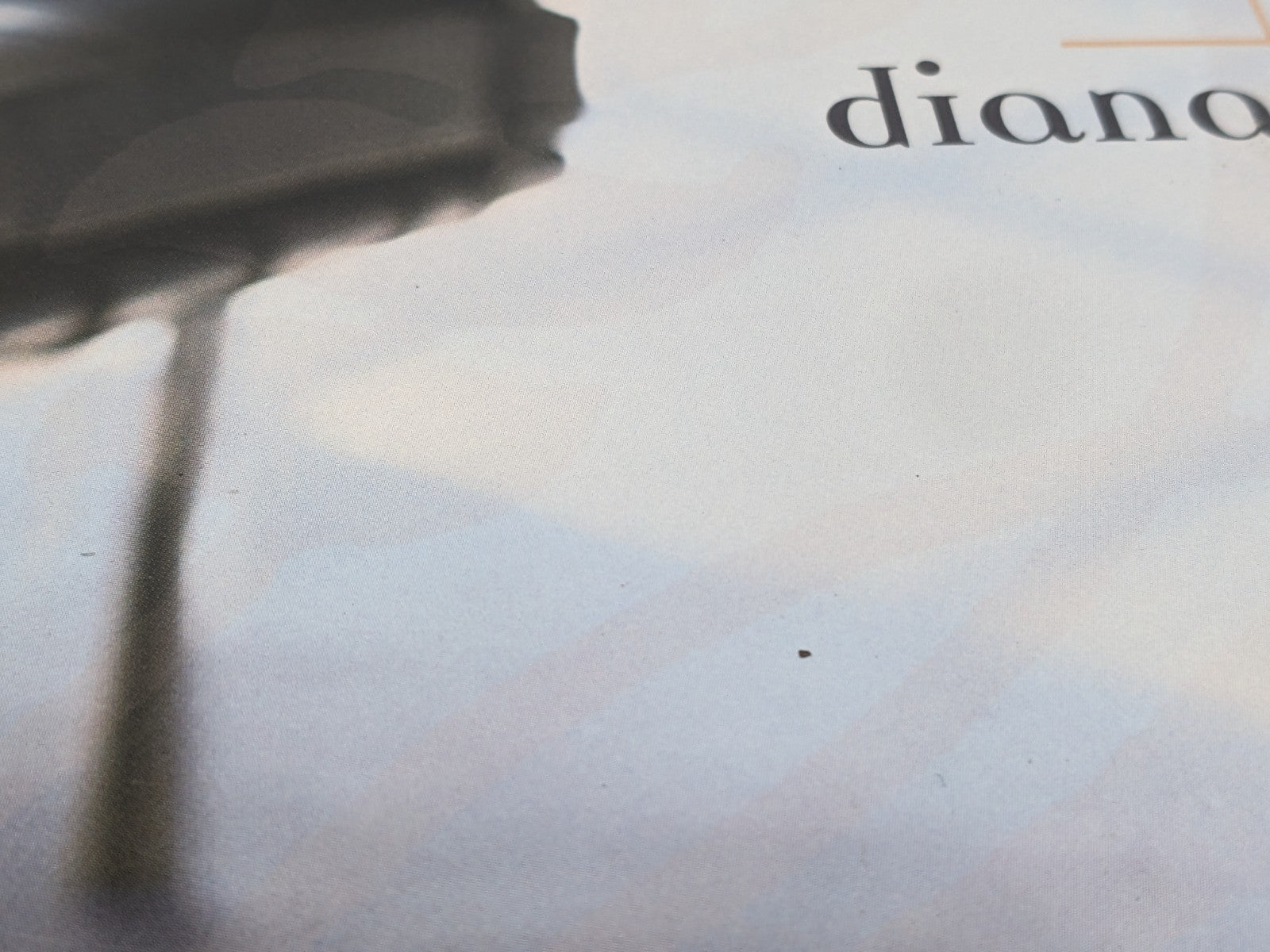 Image #10