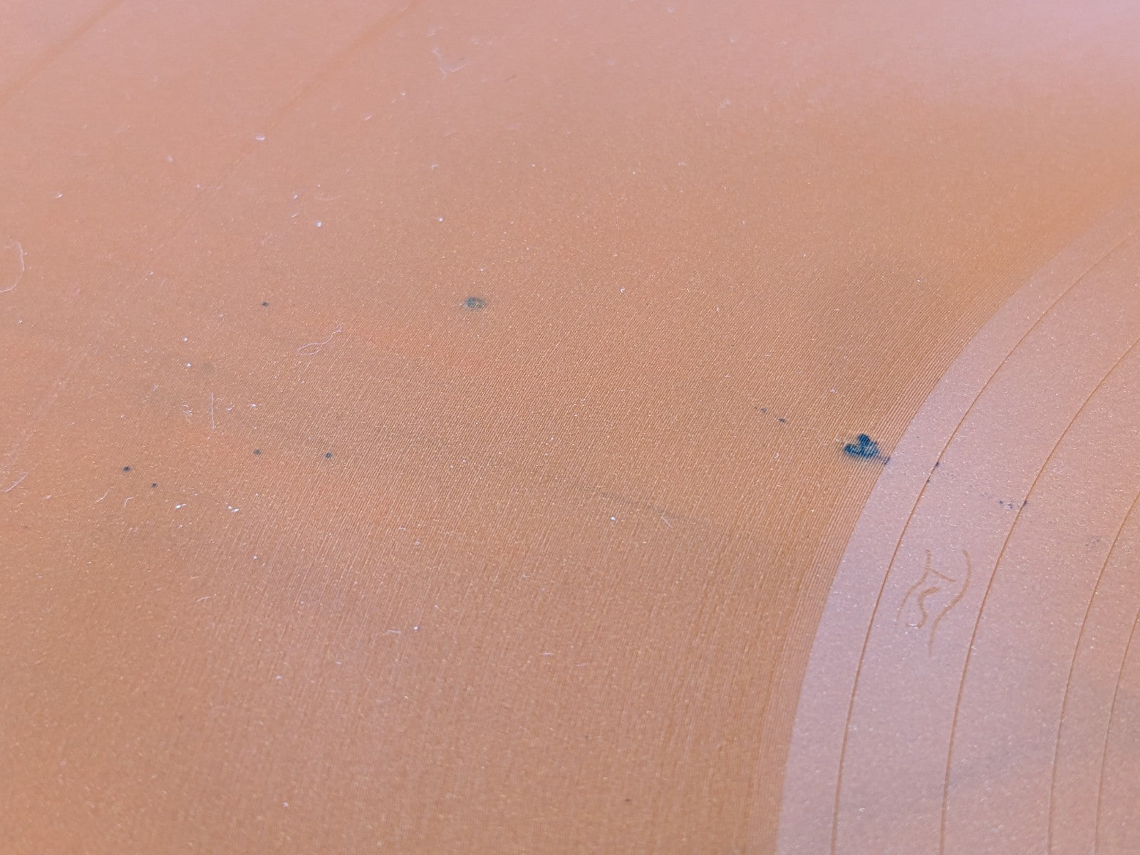 Image #13
