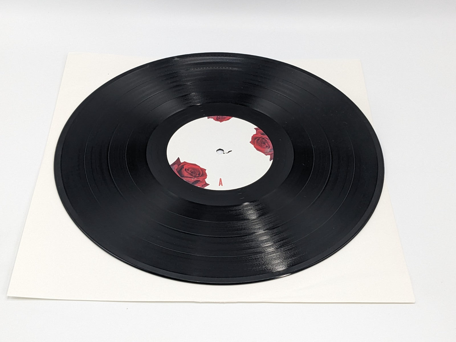 Image #12