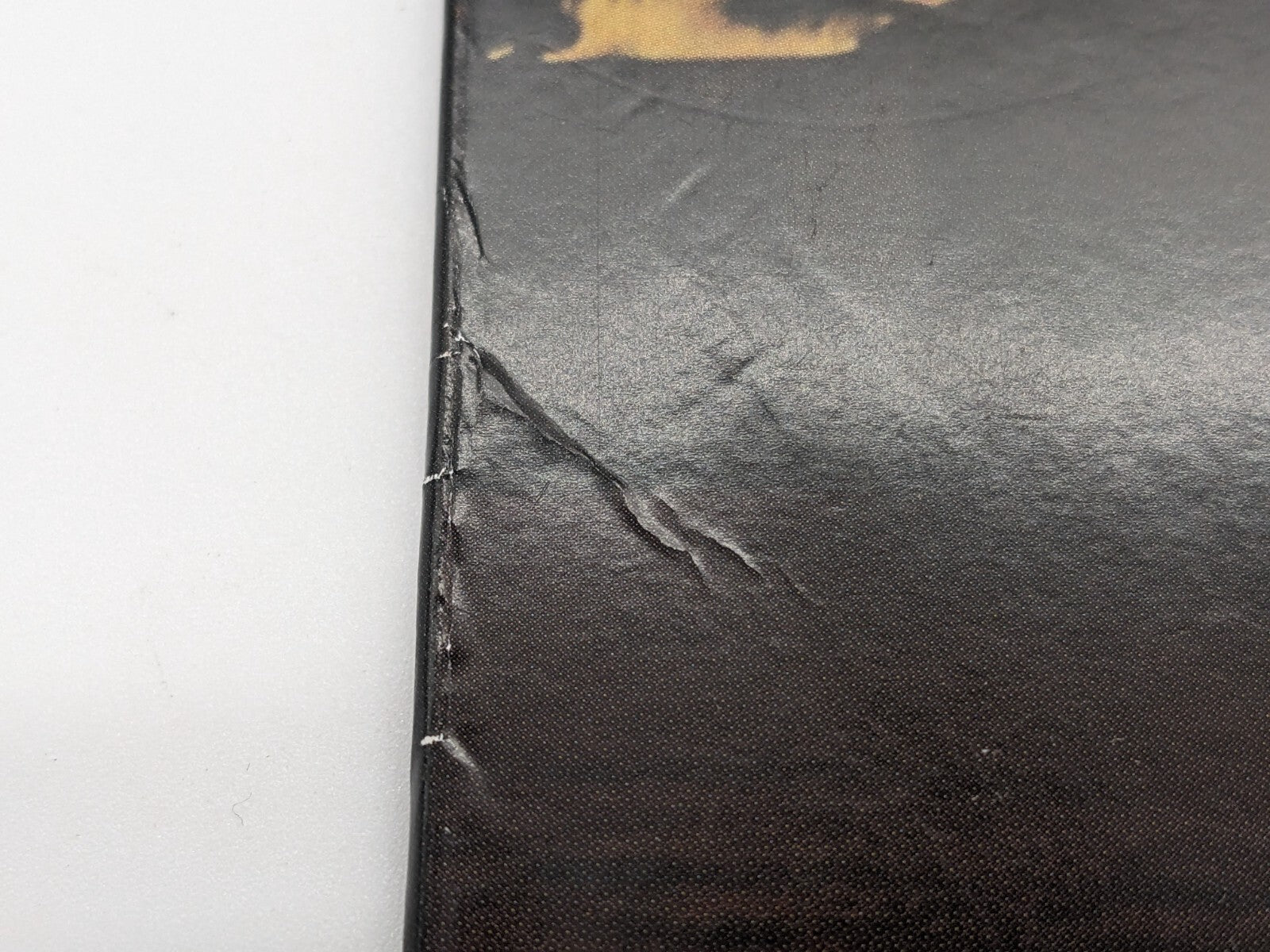Image #8