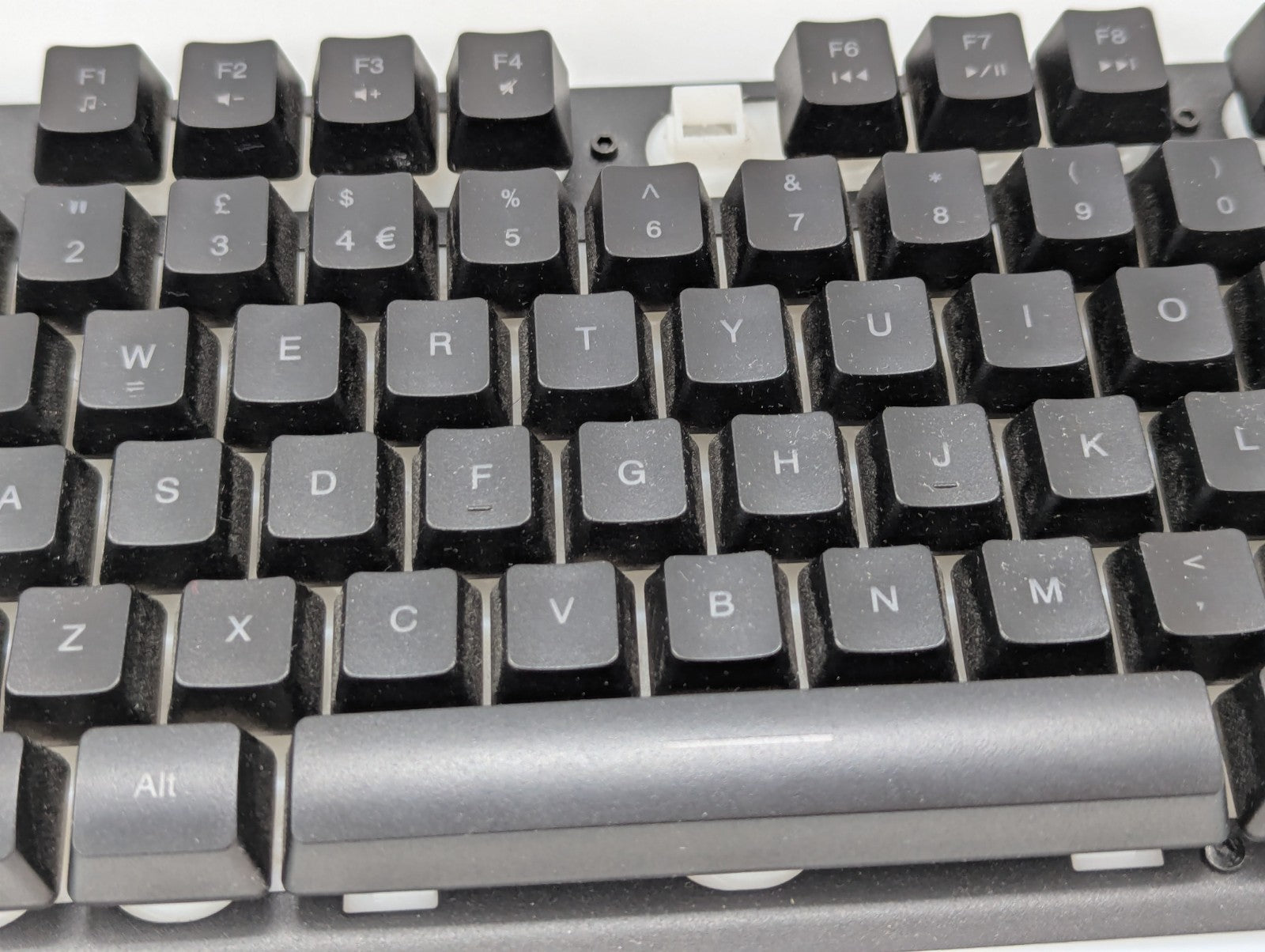 Image #7