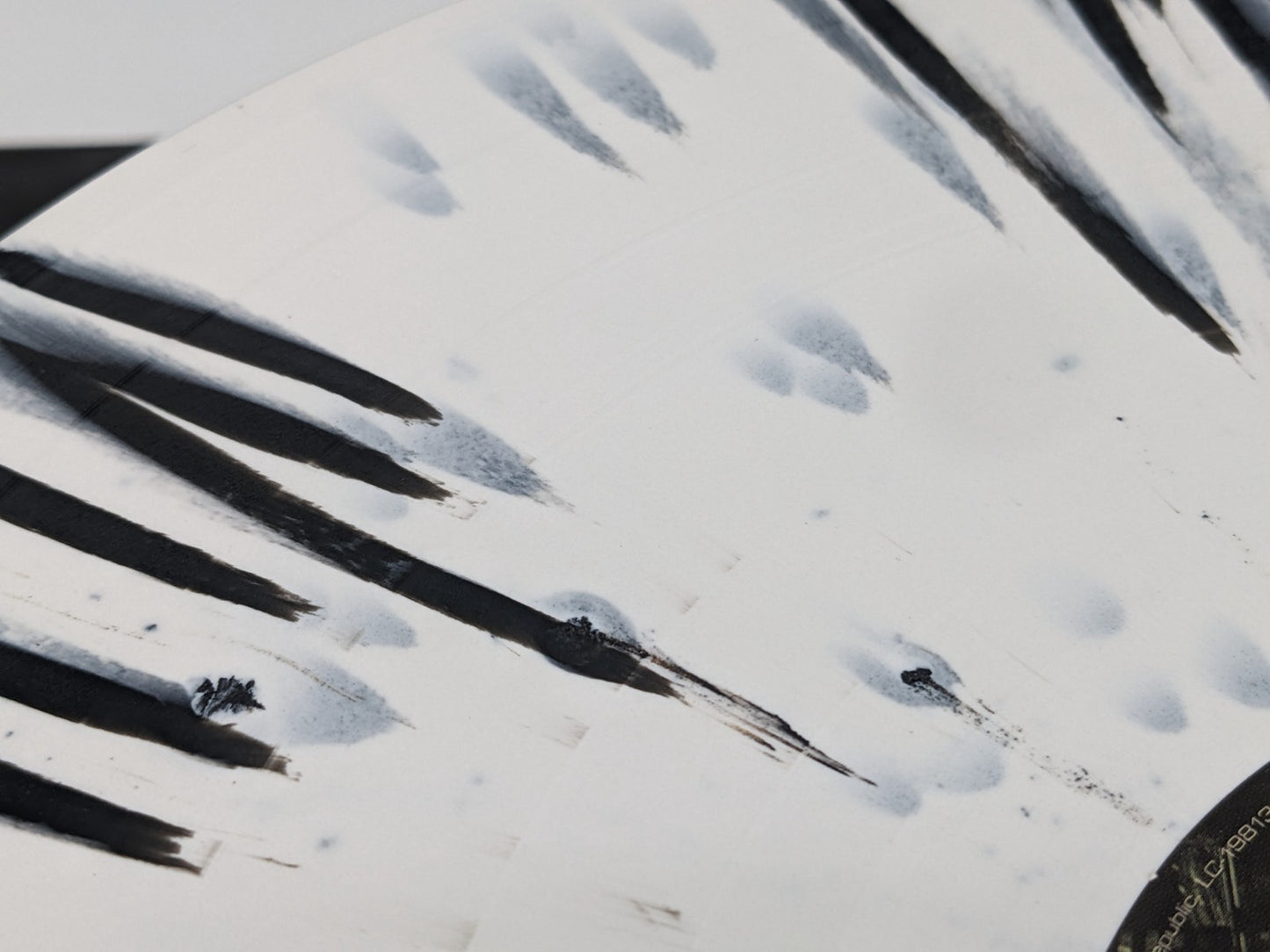 Image #17