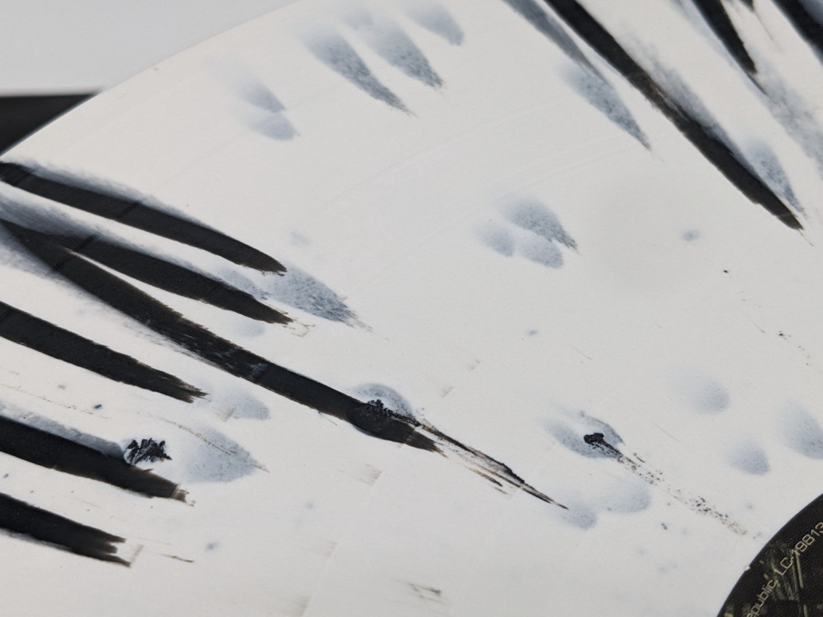 Image #17