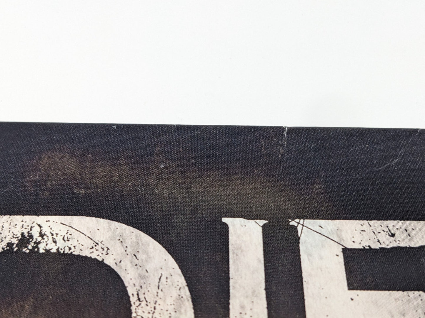 Image #7