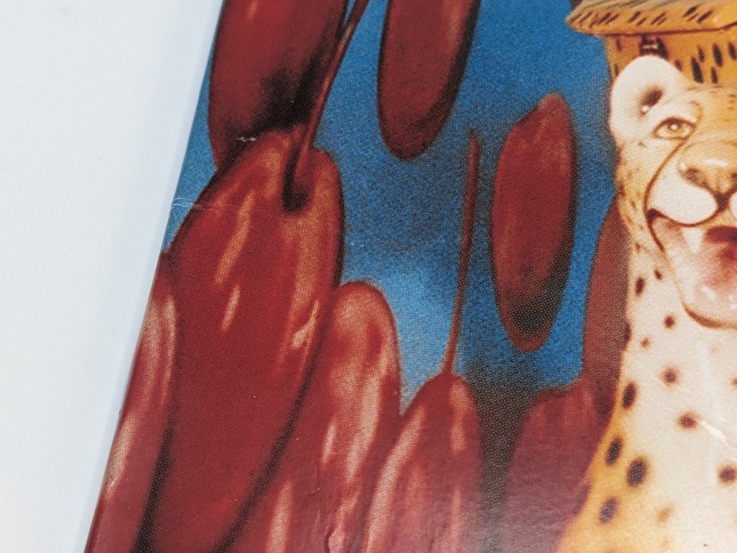 Image #9