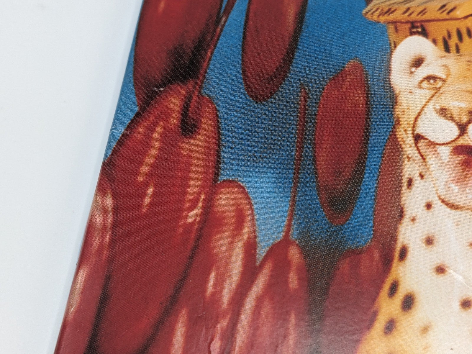 Image #9
