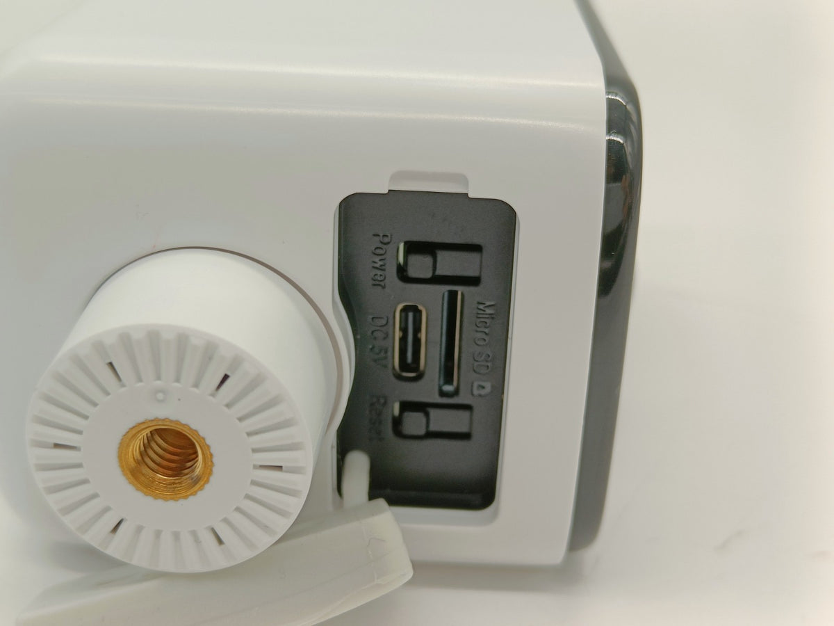 Image #7