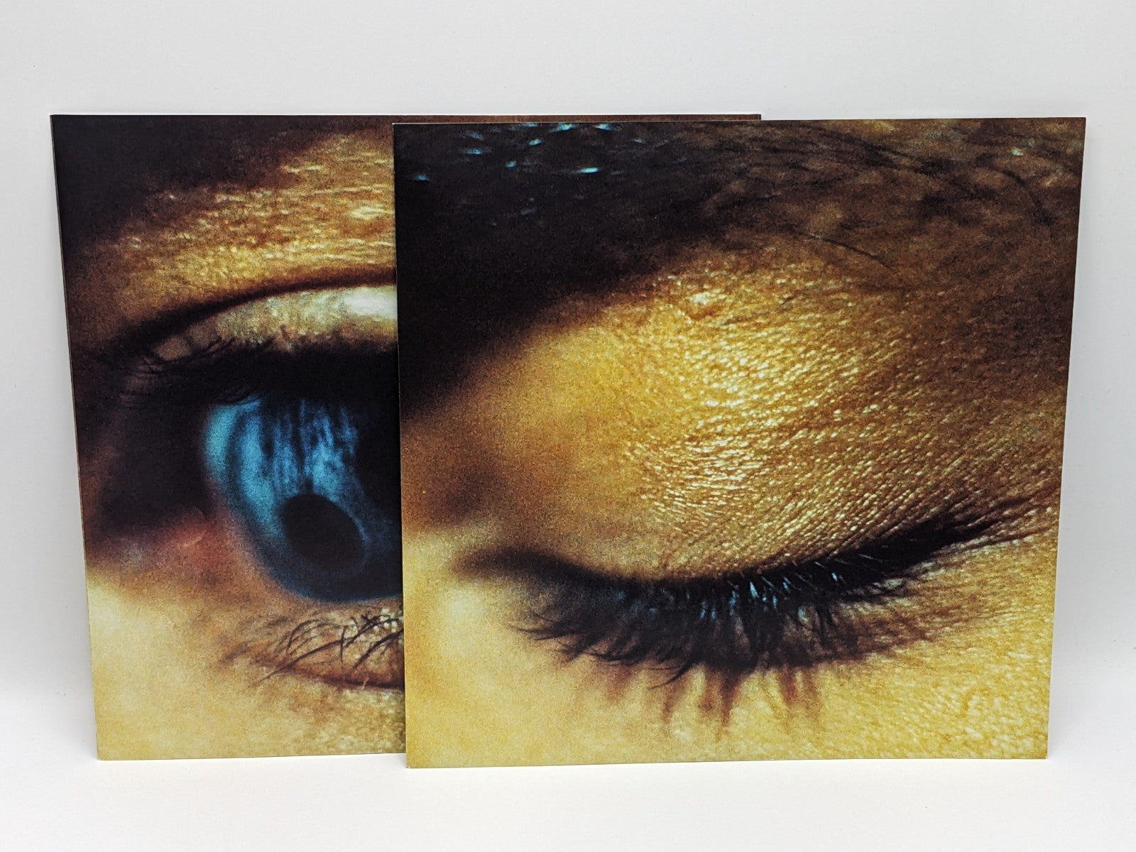 Image #13