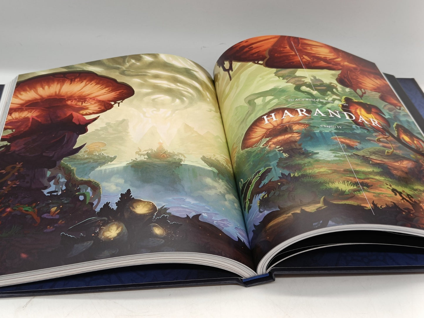 Image #12