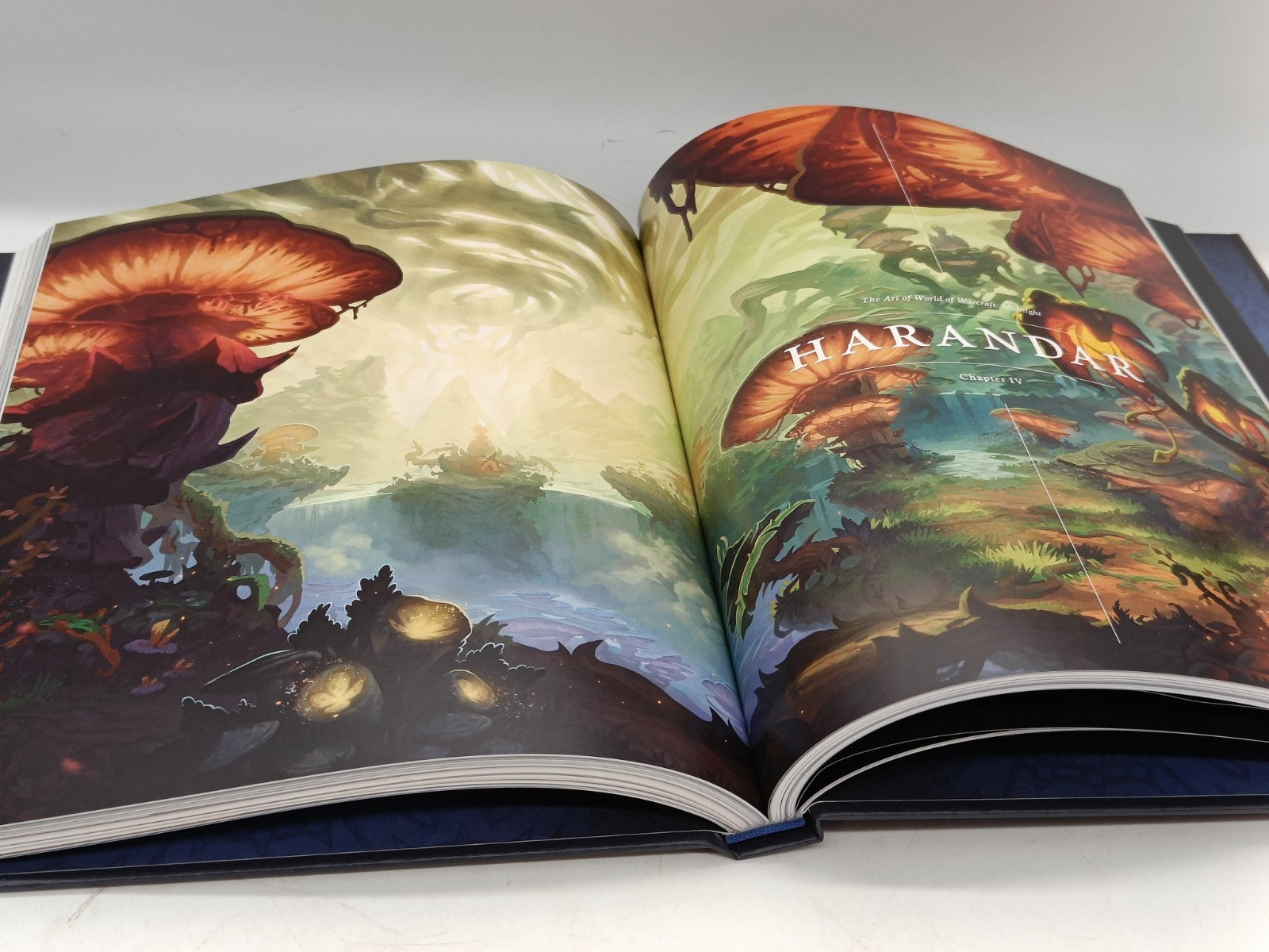 Image #12