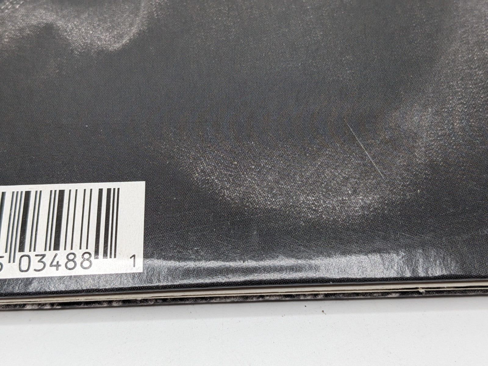 Image #8