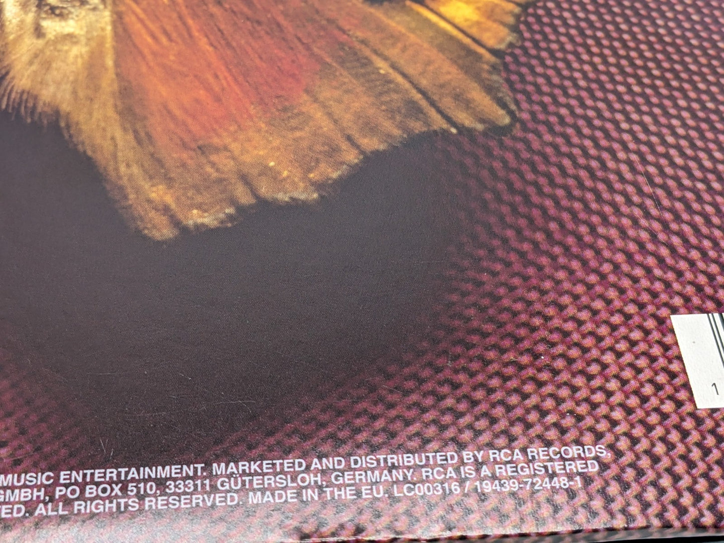 Image #8