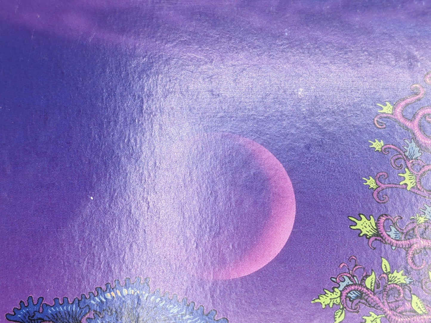Image #11