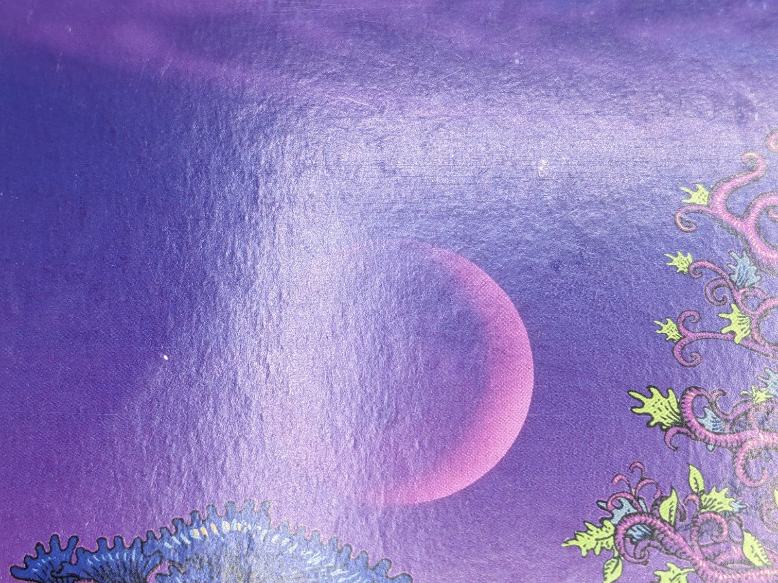 Image #11