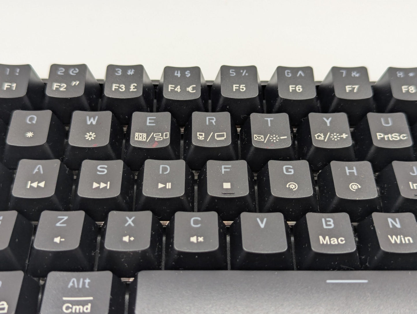 Image #8