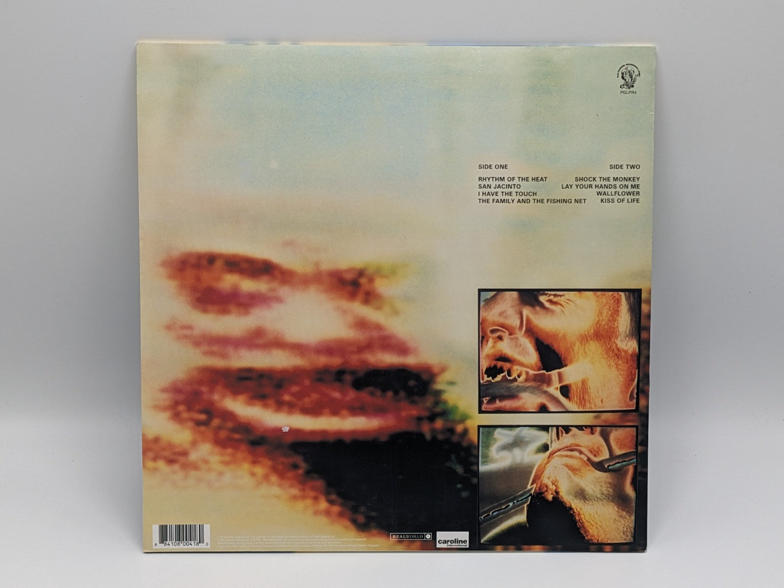 Image #2