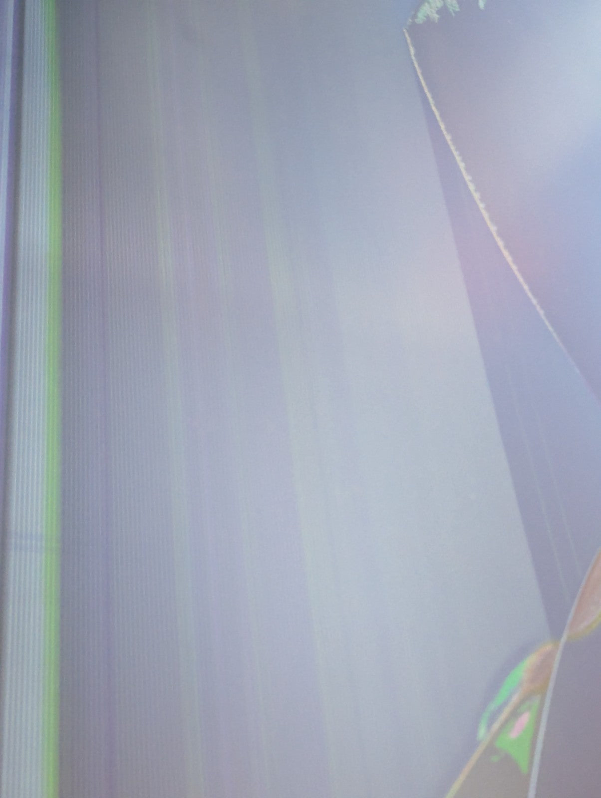 Image #12