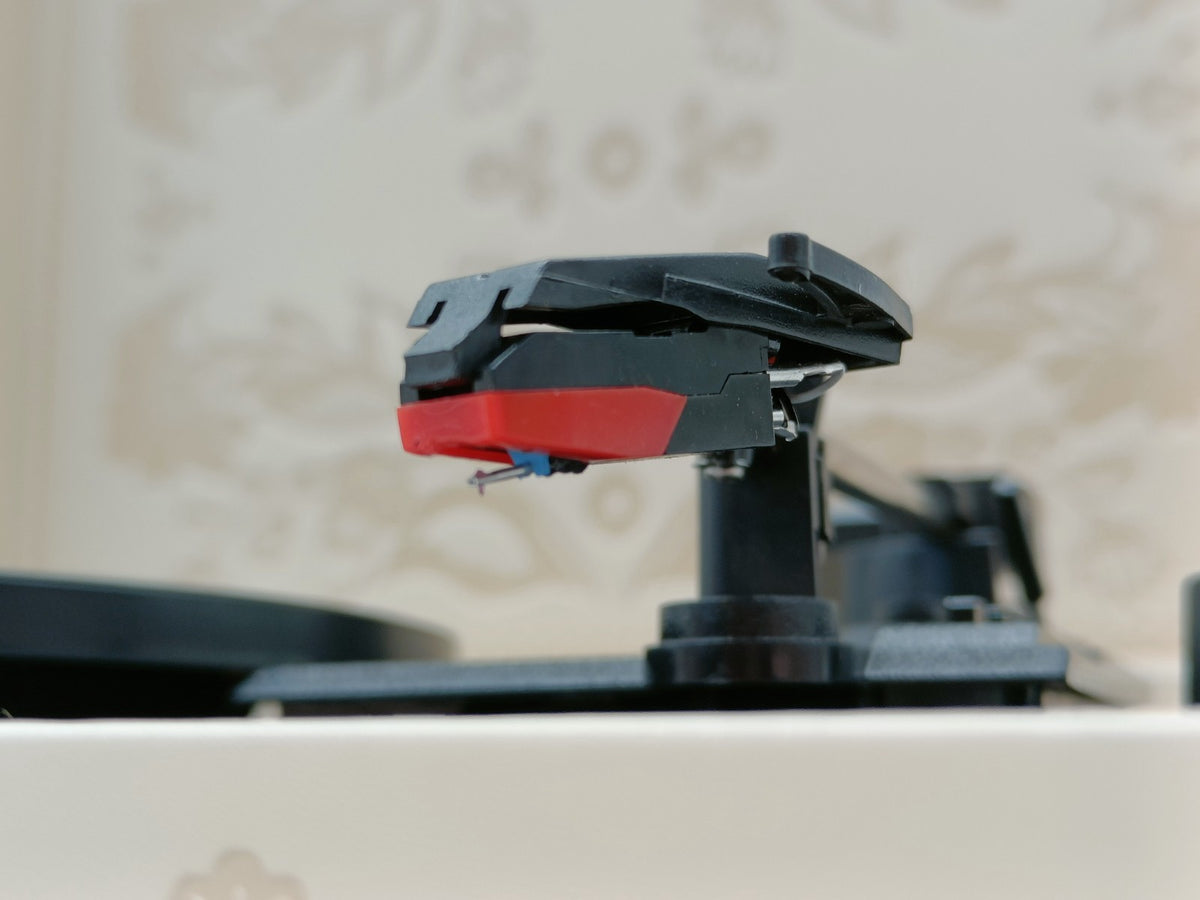 Image #5