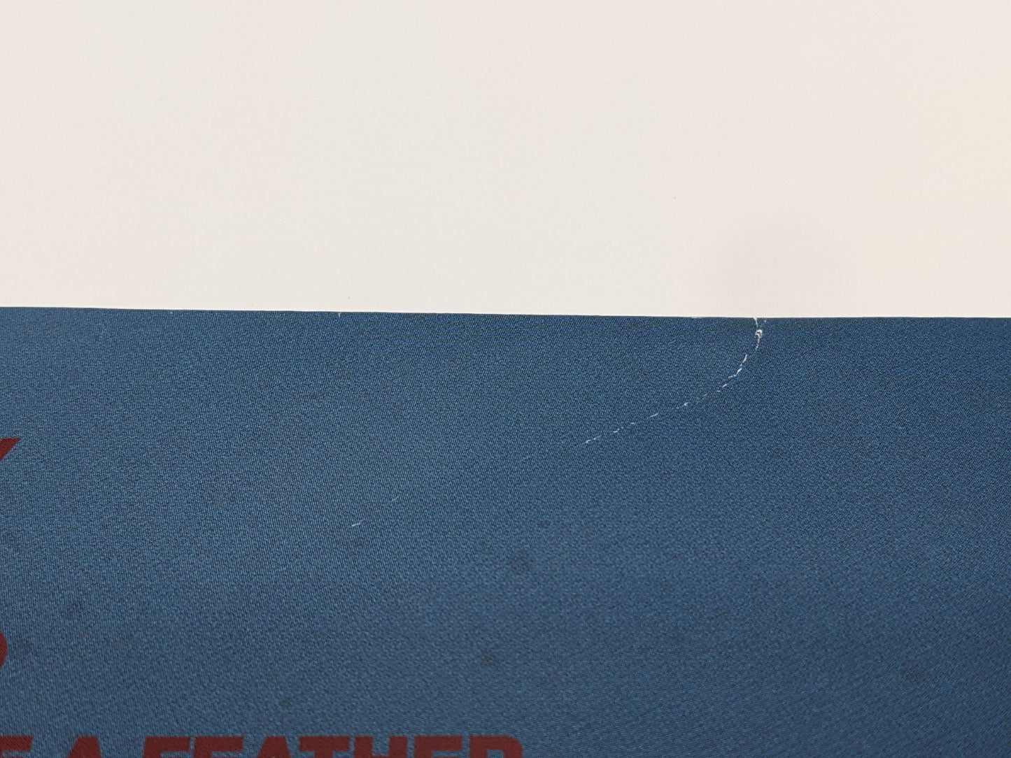 Image #16